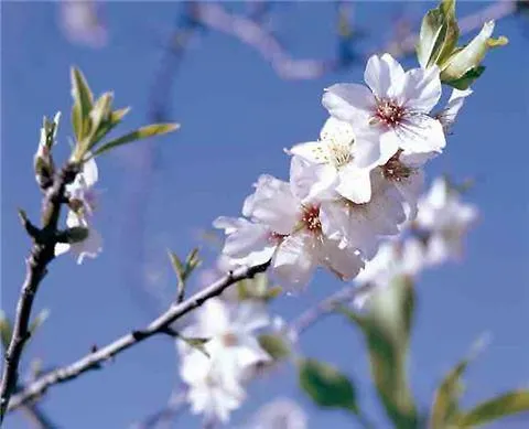 Sovipral Homes Casa Marina Appartamento Olhão